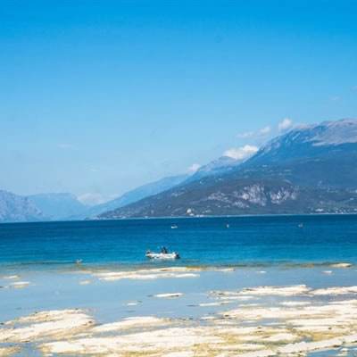 b体育安卓下载官网