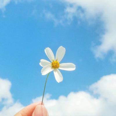 B体育手机版在线