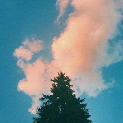 leyu·乐鱼(中国)体育下载手机版