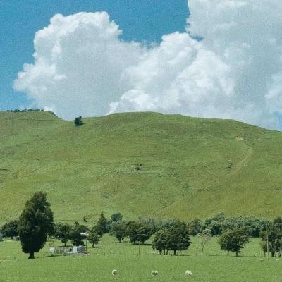 百人牛牛游戏软件下载手机版