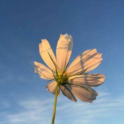 天健棋牌手机app下载