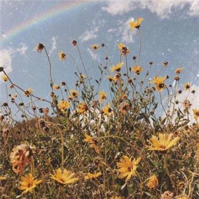 丰禾棋牌手机app下载