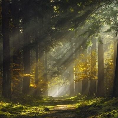 外围皇冠体育下载