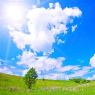 开元棋脾下载手机版