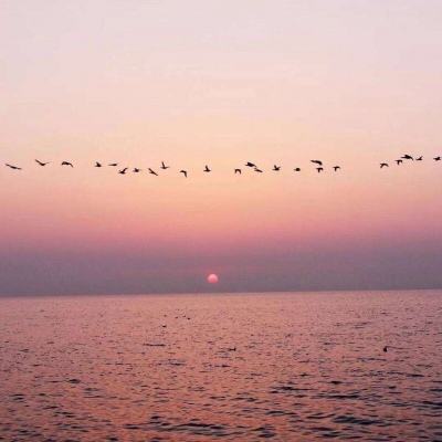 电子mg官方网站