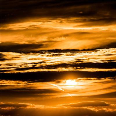 b体育官方体育app