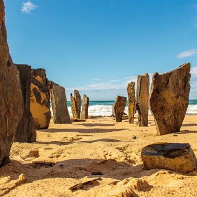 鸭脖app下载手机app下载