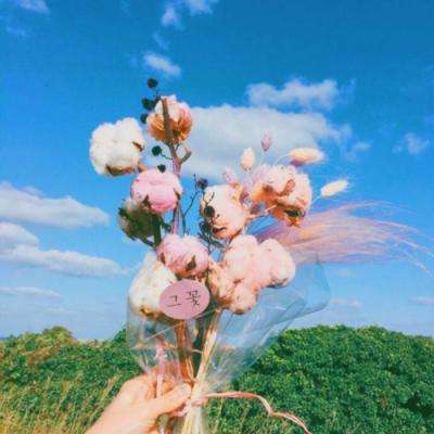 欧宝娱乐APP官方下载