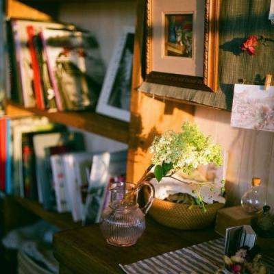 半岛综合网截图