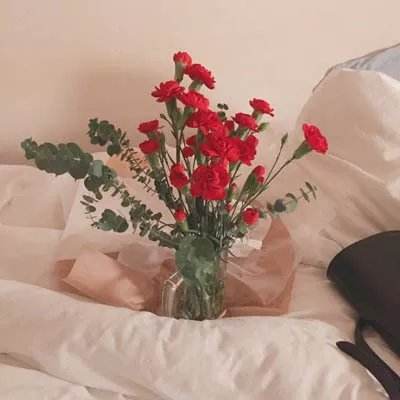 LOL外围官网下载手机版