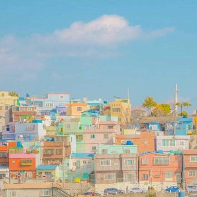 三张牌下载金花免费下载手机版