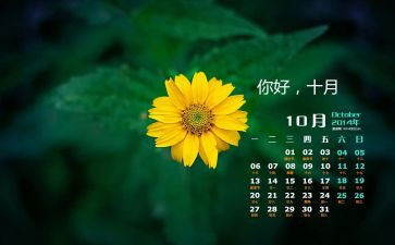 中班10月份工作计划8篇