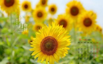 2024年幼儿园中班10月工作总结5篇