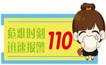 110辅警个人总结6篇