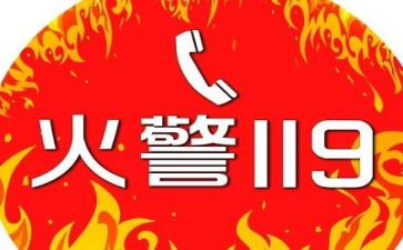 小学119消防安全活动总结7篇