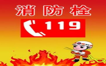119安全消防日活动总结优质6篇