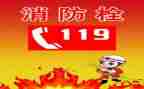 119安全消防日活动总结优质6篇
