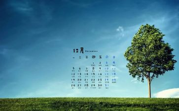 12月份安全周工作总结7篇