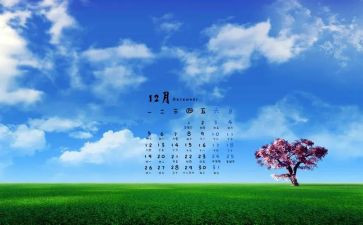 12月份党日活动总结8篇