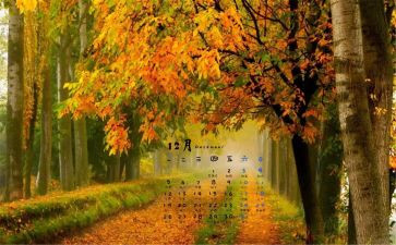 幼儿园12月份教育心得8篇