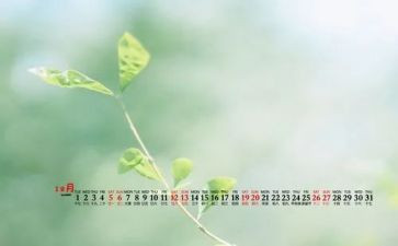 大班12月的工作计划5篇