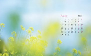 学生会12月份工作总结7篇