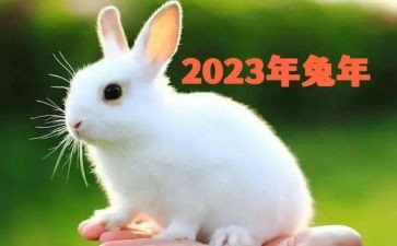 2023年妇委会工作计划精选5篇