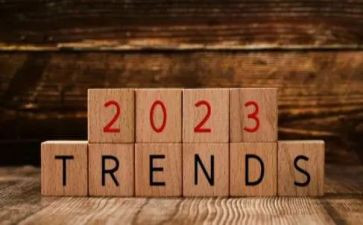 村主任2023年述职报告参考5篇