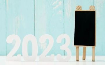 2023个人优秀员工事迹7篇
