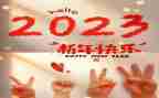 2023年教师优秀党员事迹材料7篇