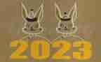2023年超声医师工作总结5篇