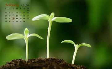幼儿2月份月总结7篇