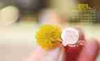 2月份工作总结最新8篇