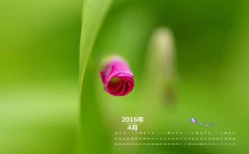 销售4月工作总结最新7篇