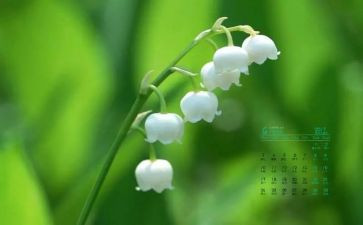 4月份的工作总结7篇