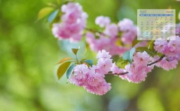 中班4月份工作计划7篇