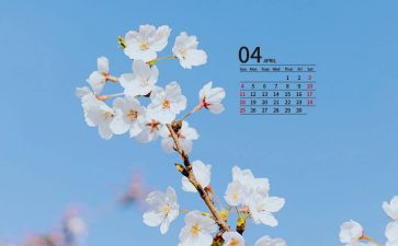 2024中班4月份工作总结7篇