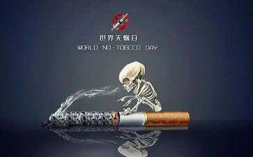 干部培训531心得体会最新8篇