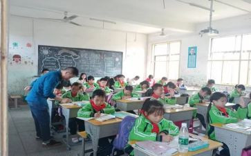 认识单双数的教案8篇