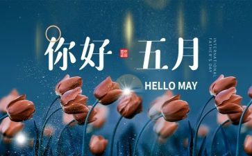 保育5月份工作总结8篇