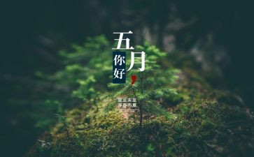 2024年幼儿园小班5月工作总结6篇