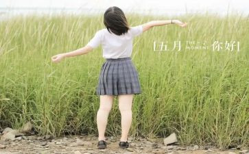 5月幼儿园安全总结6篇