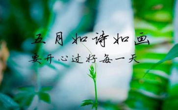 小班5月份工作总结最新6篇
