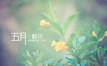 小班5月份月总结精选6篇