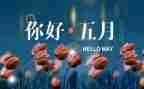 5月策划活动方案5篇