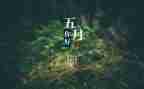 2024年幼儿园小班5月工作总结6篇