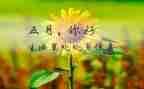 2024年5月份工作计划最新5篇