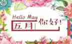小班5月活动总结8篇