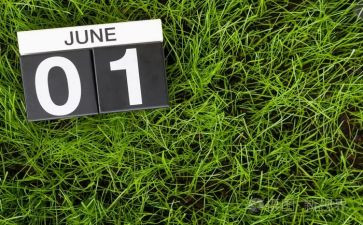 6月份是安全生产月总结8篇