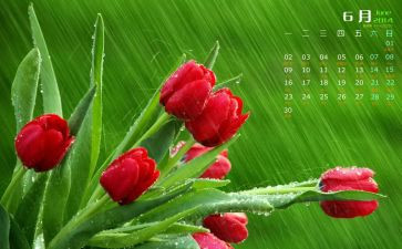 6月份大班月总结7篇